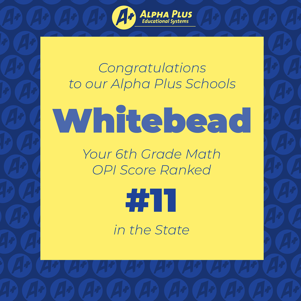 Whitebead Math OPI 6th