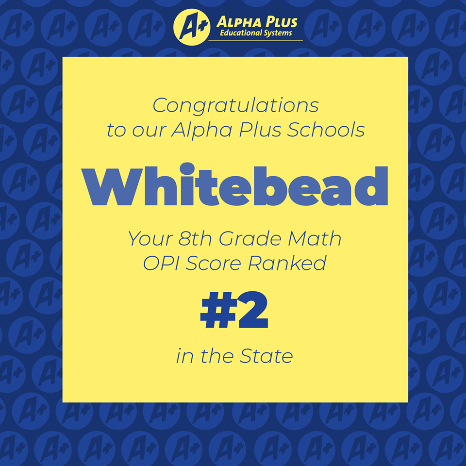 Whitebead Math OPI 8th